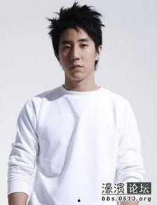 H开头明星,闪耀舞台，魅力无限