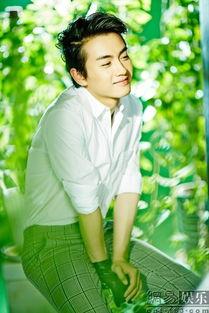 陈晓照片,光影中的魅力演绎